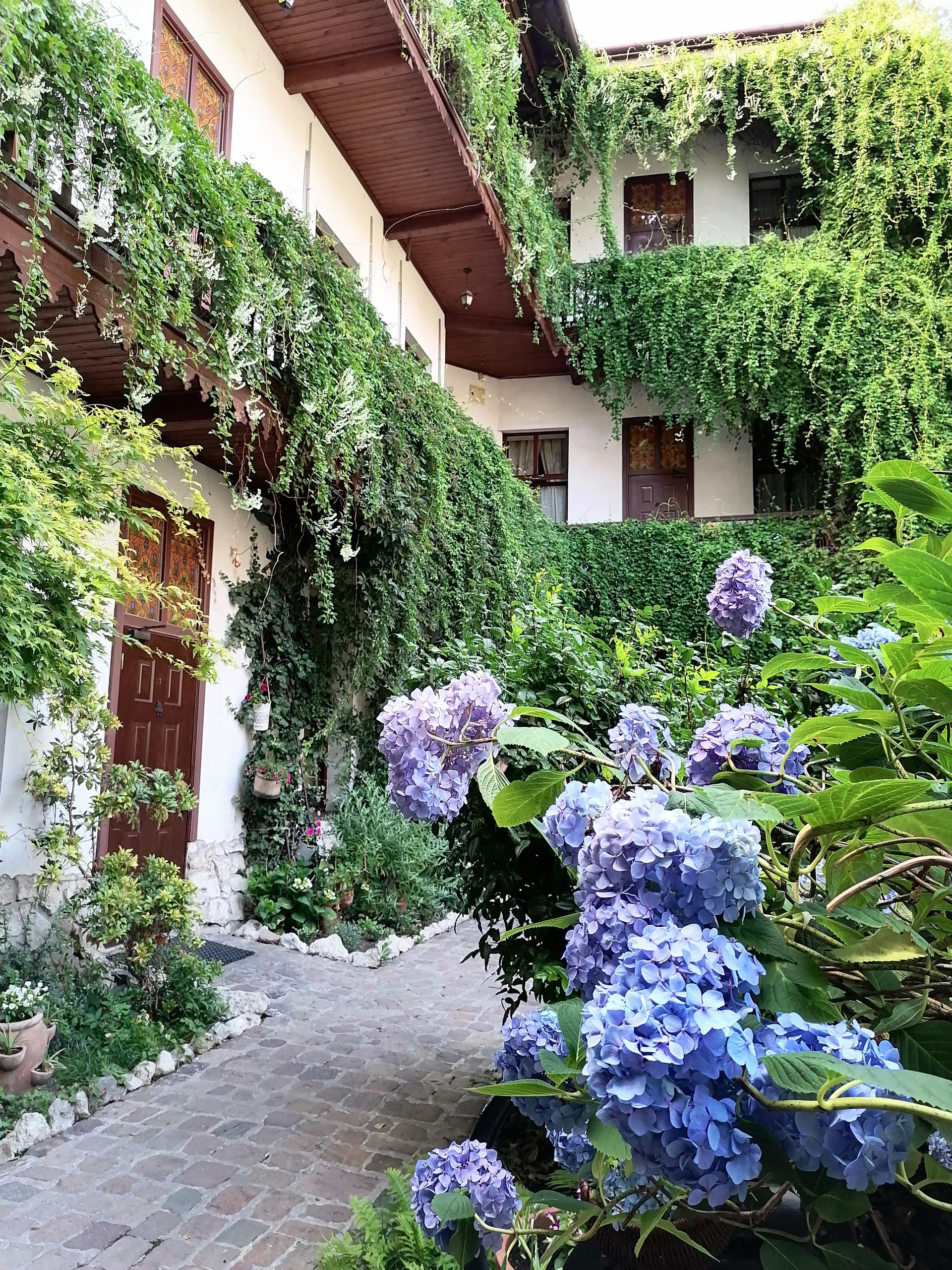 Vista Exterior Globtroter Guest House