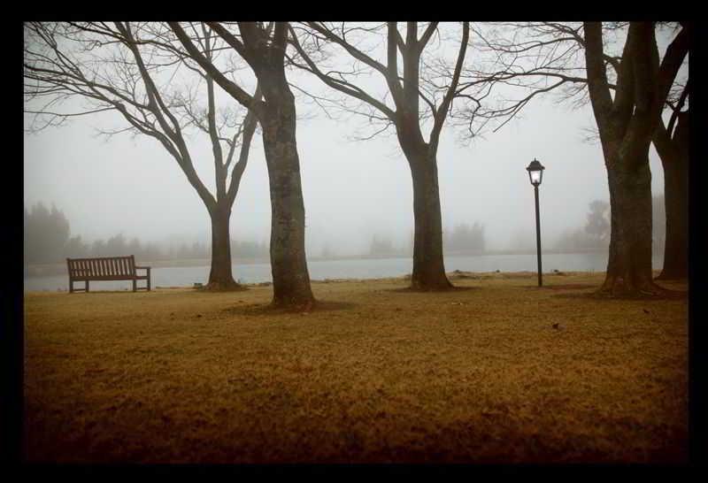 Varios Urban Hip Hotels- Critchley Hackle