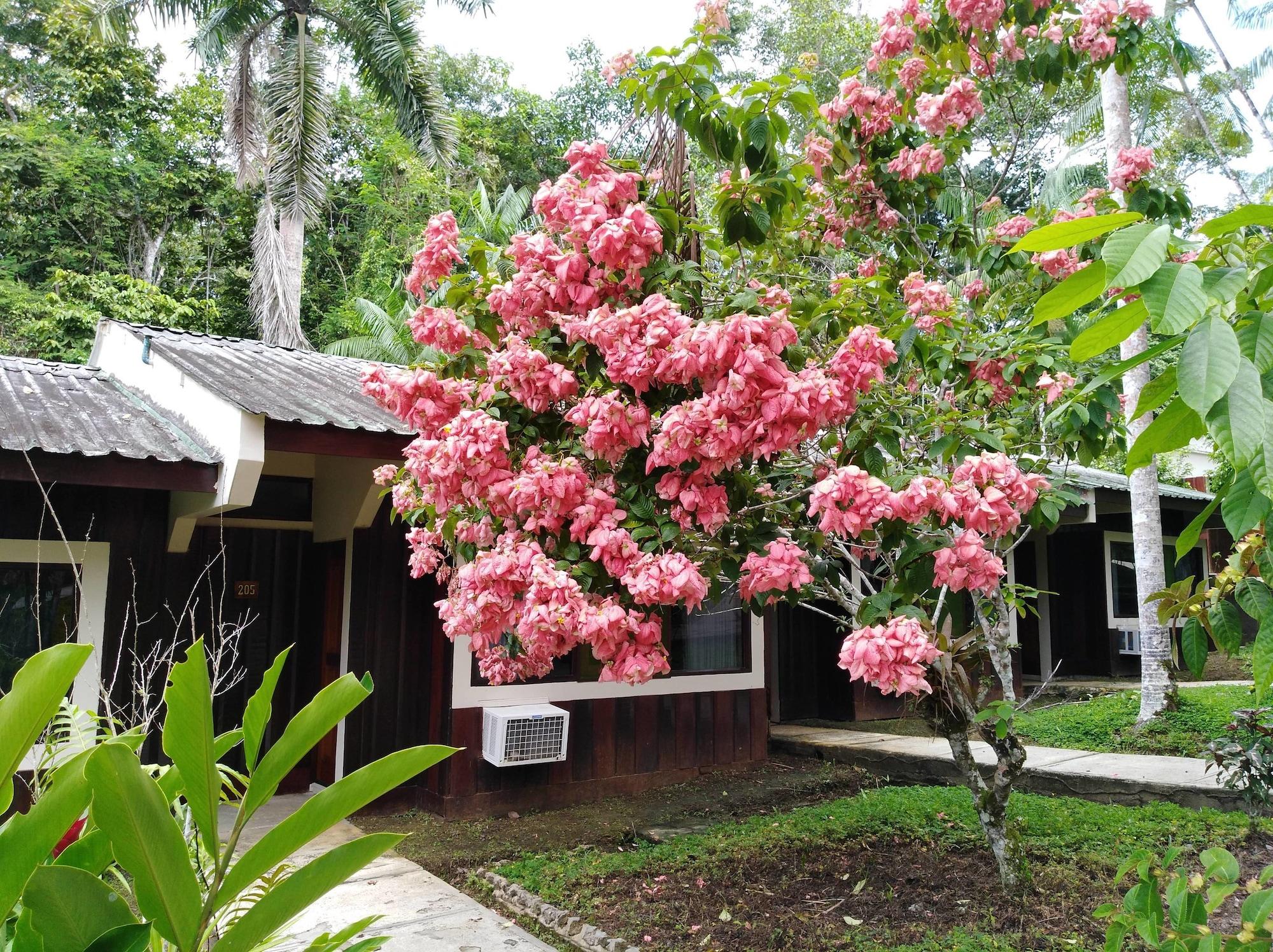 Vista Exterior Ceiba Tops Lodge