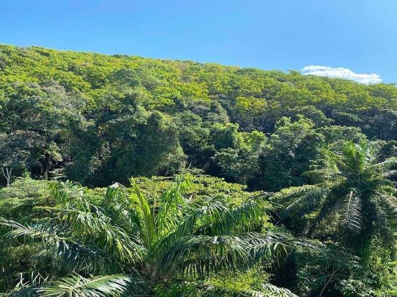 Comodidades del Alojamiento ACONCHEGANTE E MODERNO APARTAMENTO PERTÍSSIMO DA PRAIA