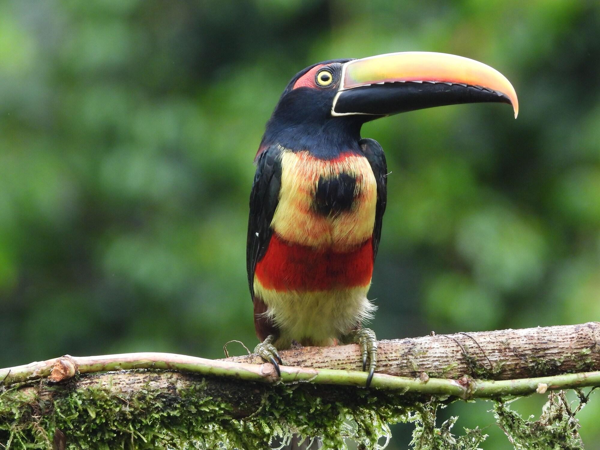 Comodidades del Alojamiento Esquipulas Rainforest