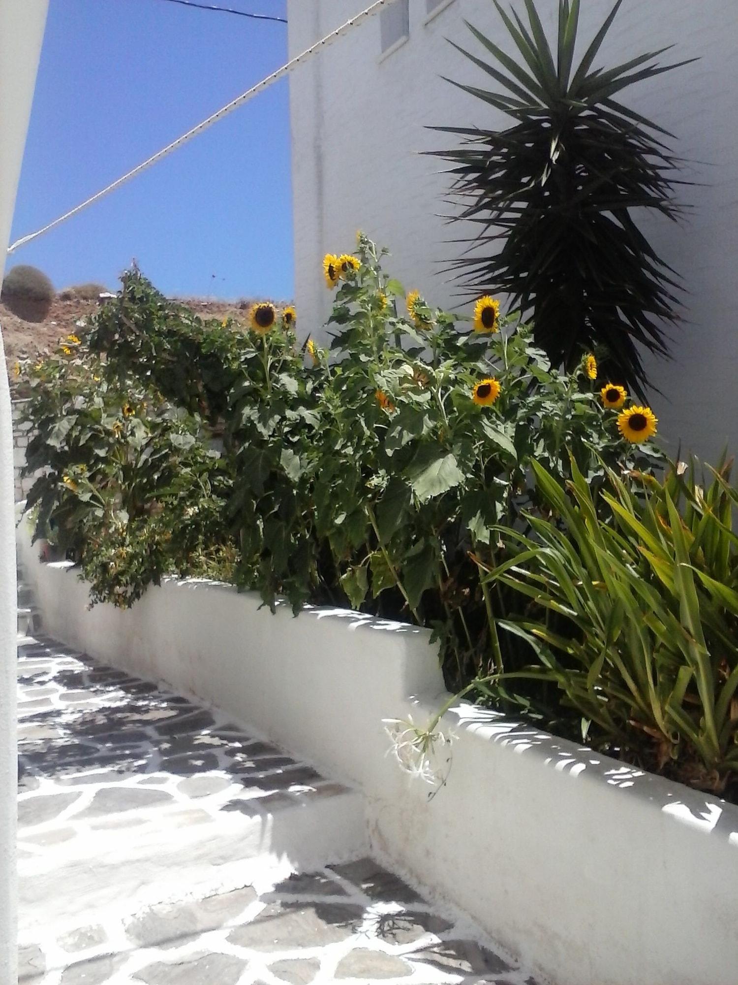 Comodidades del Alojamiento Athina Studios