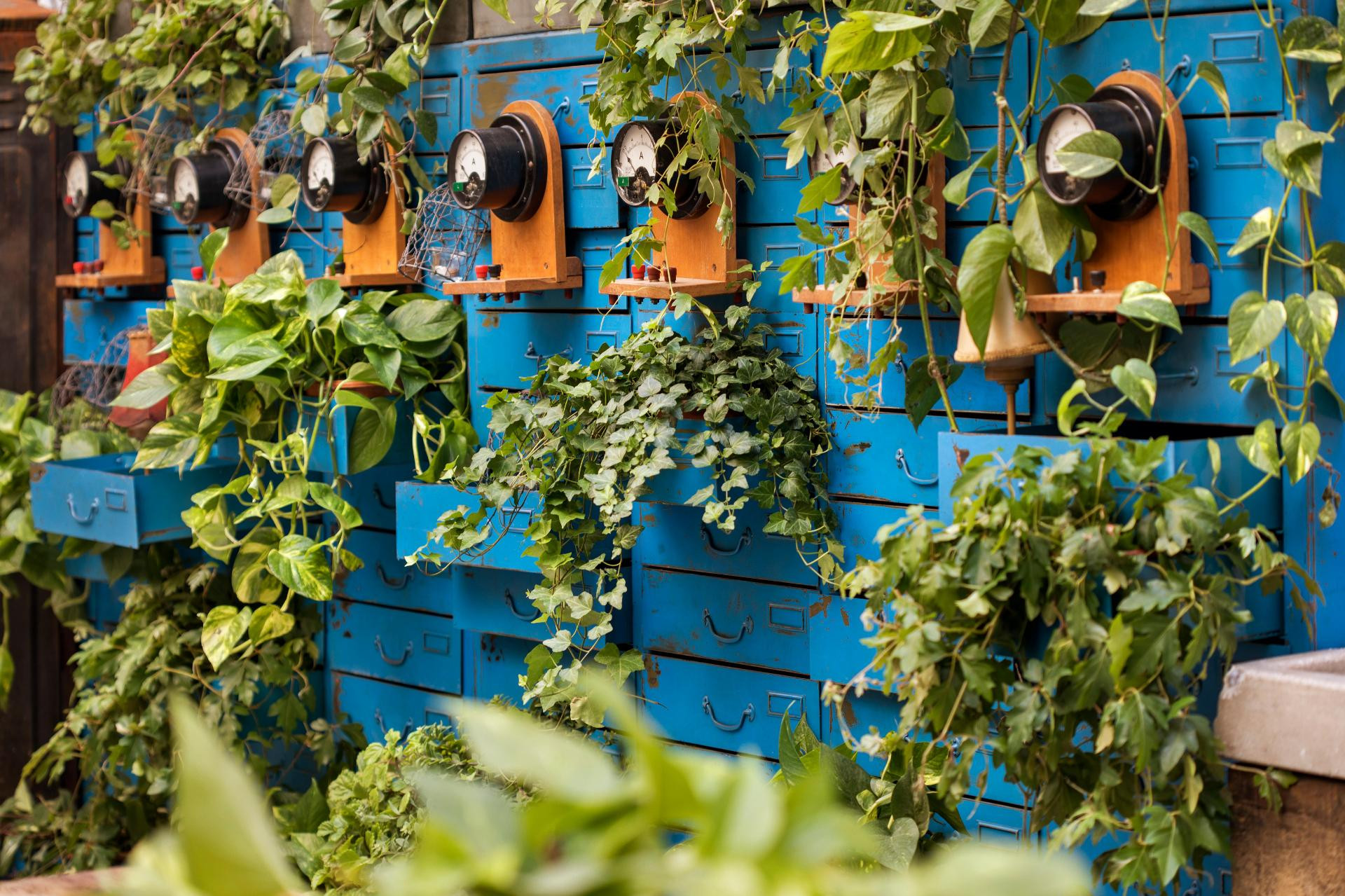 Varios Scarlet Hotel