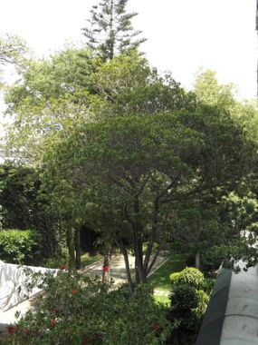 Hotel Pedregal Palace - Hoteles cerca de Six Flags en Ciudad de México