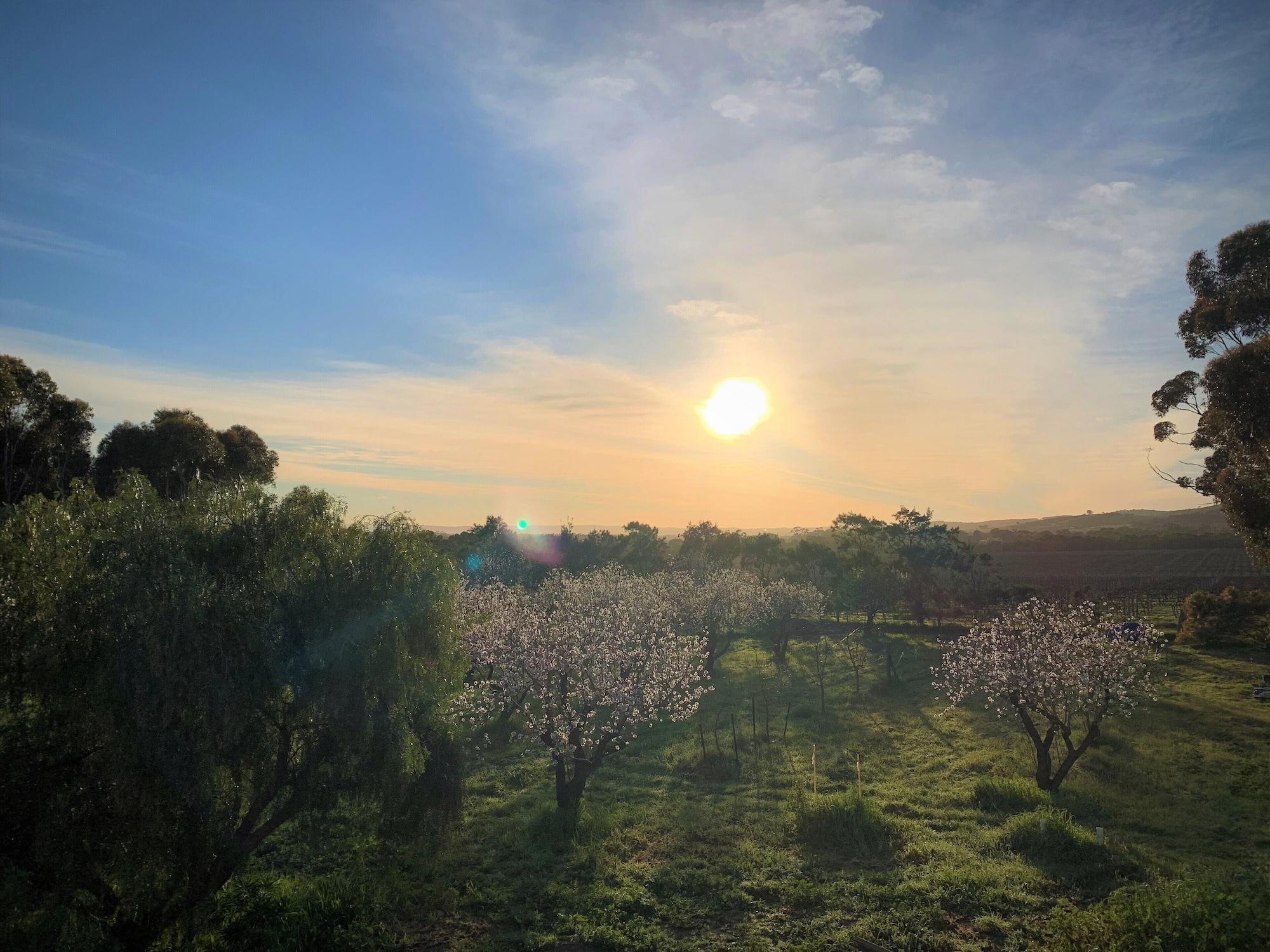 Vista Exterior Old Chaff Mill Retreat - - luxury vineyard accommodation