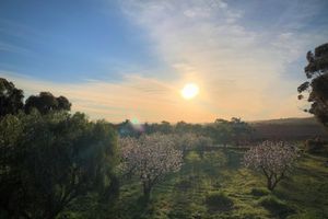 Alojamiento - Old Chaff Mill Retreat - - luxury vineyard accommodation