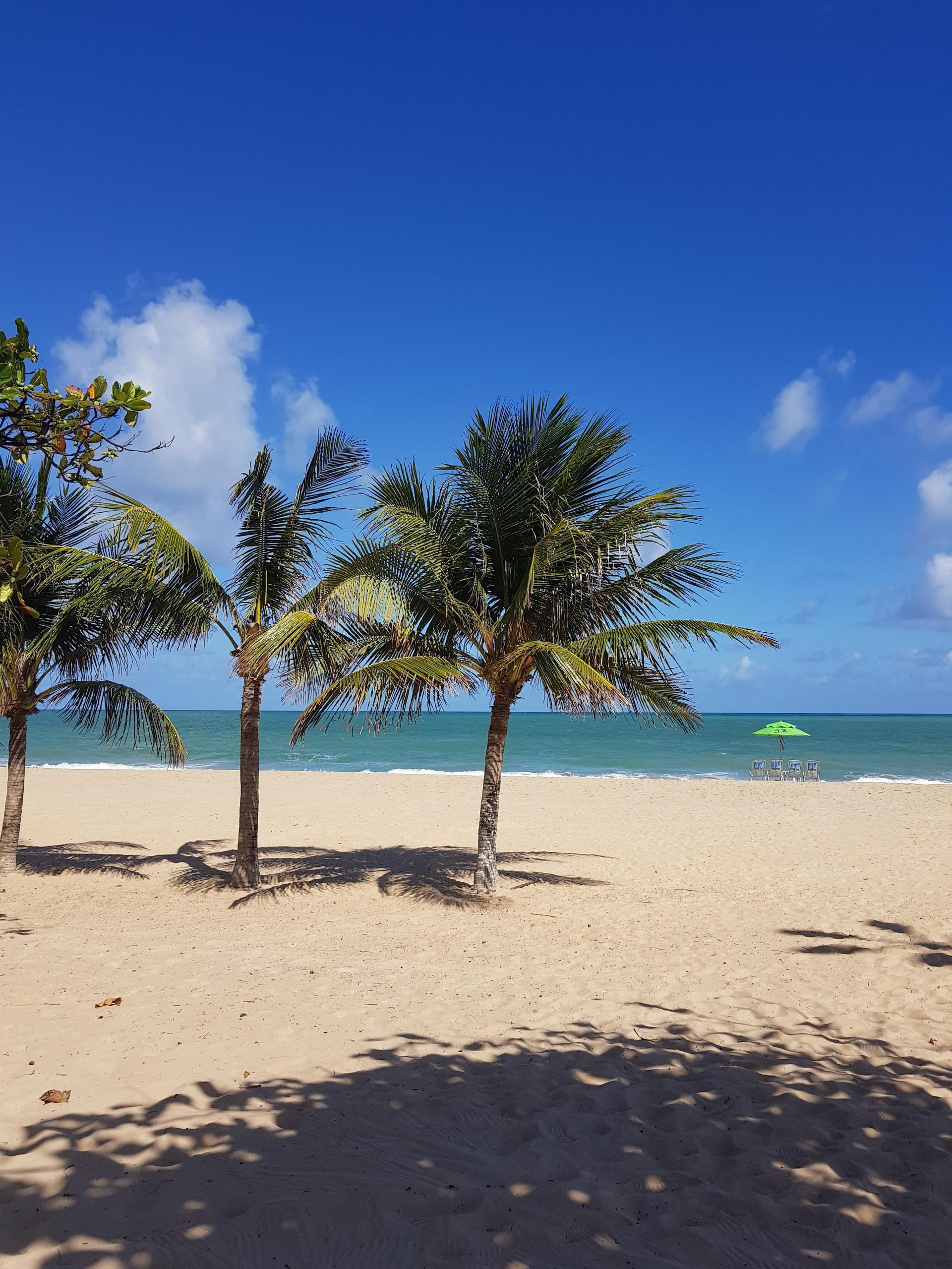 Playa Hotel Barramares