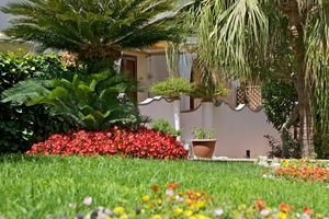 Alojamiento - Villa San Felice
