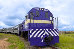 Actividad - Tren de la República