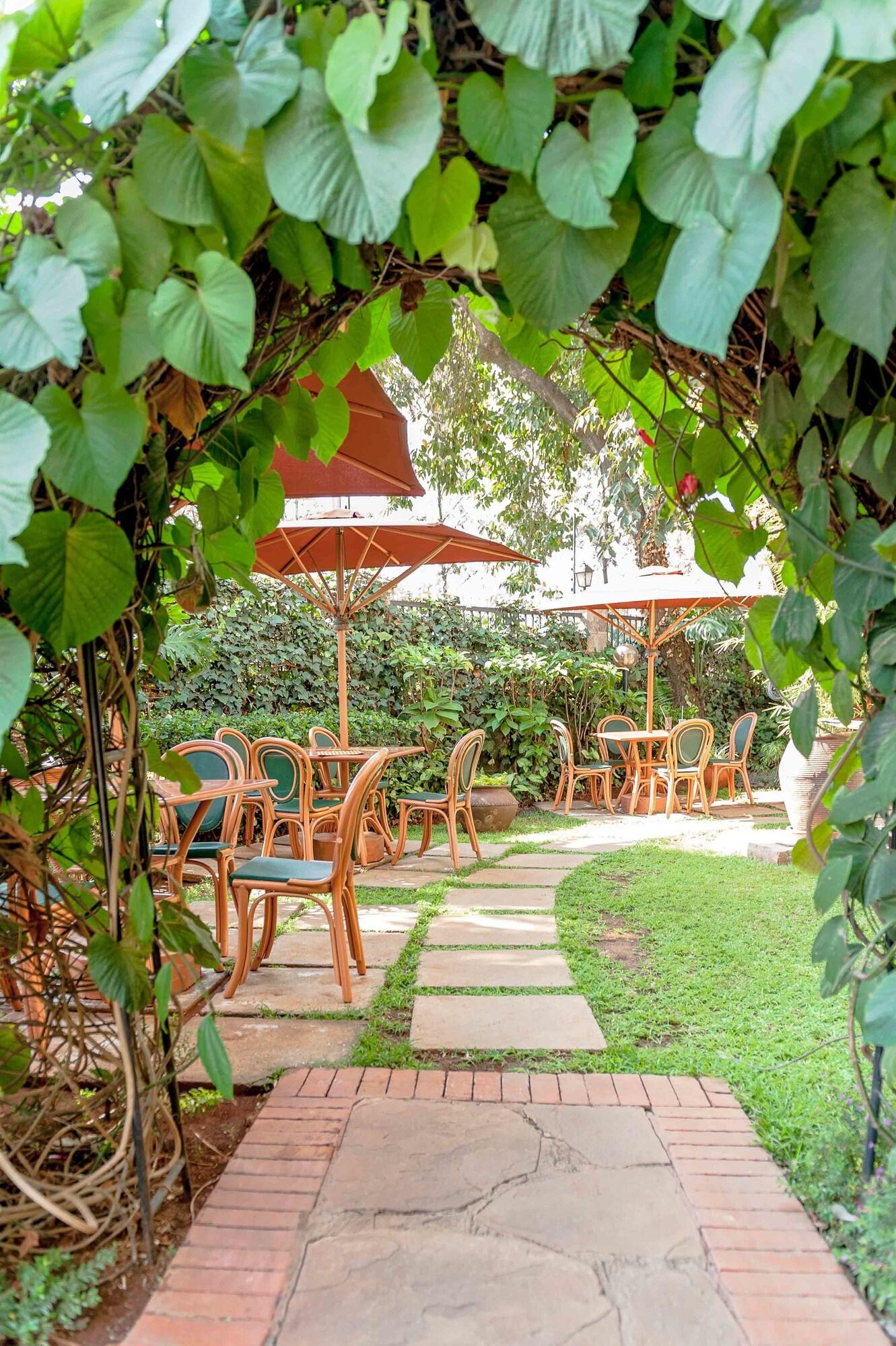 Bar/Salón Mvuli House