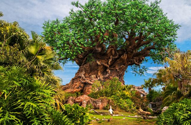 Disney's Animal Kingdom