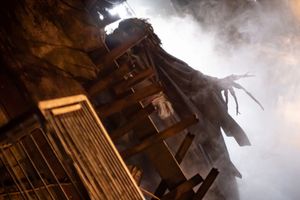 Actividad - Entrada Busch Gardens Show de terror