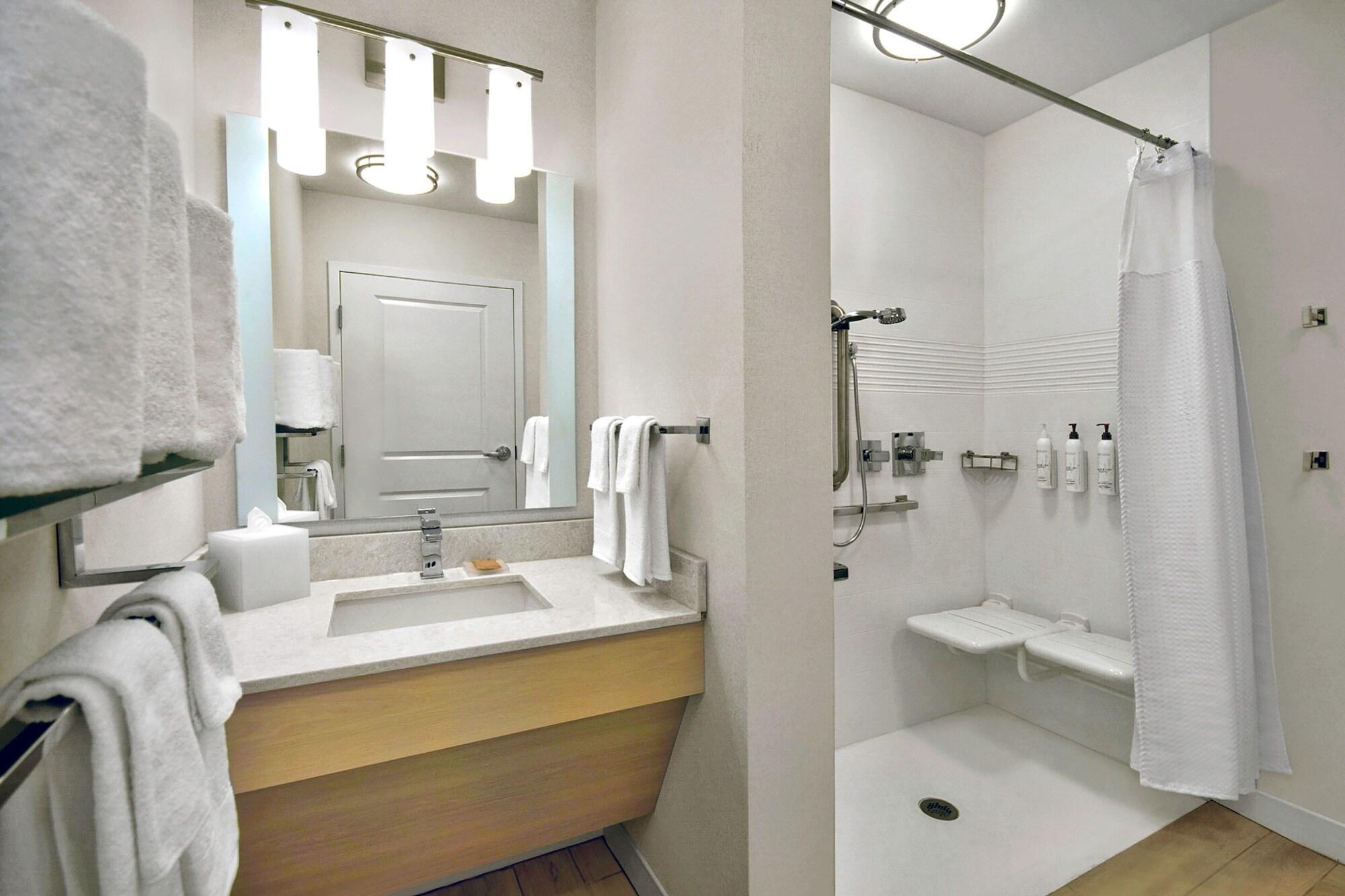 Equipamiento de Habitación TownePlace Suites by Marriott Asheville West