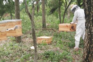 Alojamiento - Rancho Seibert