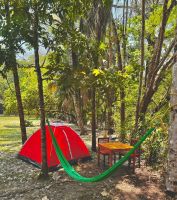 Alojamiento - Hotel Nututun Palenque