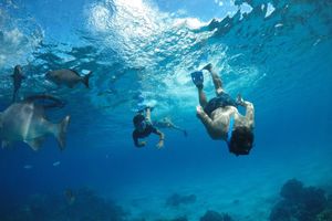 Actividad - Snorkel en Cozumel: Arrecifes Palancar, Colombia y “El Cielo”