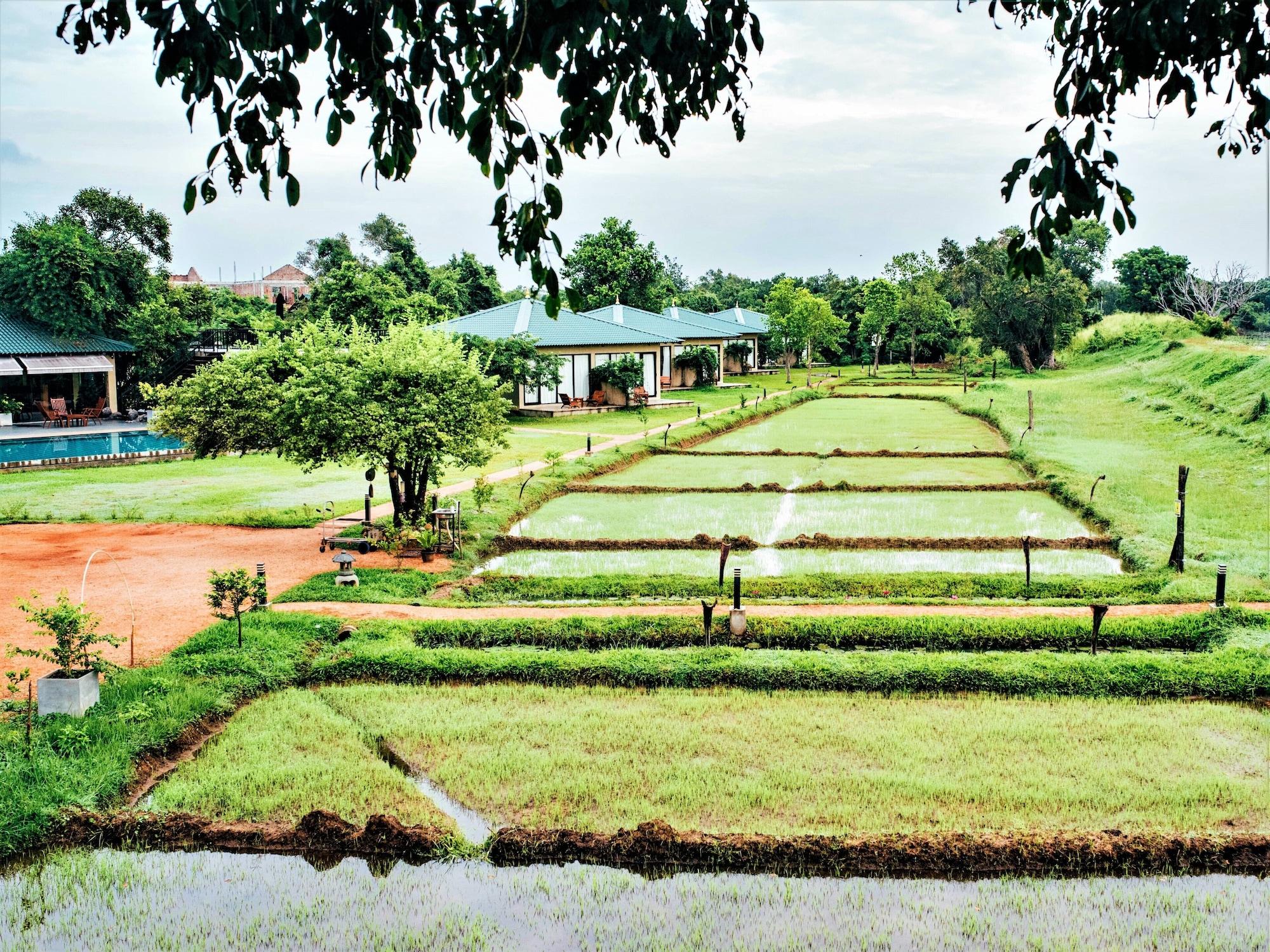 Vista Exterior Sigiriya King's Resort