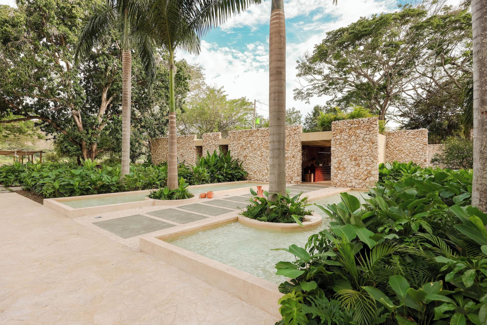 Vista Lobby Arde La Selva