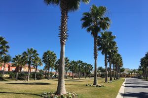 Alquiler Vacacional - Paradise Palms Resort by DWS Vacation Villas