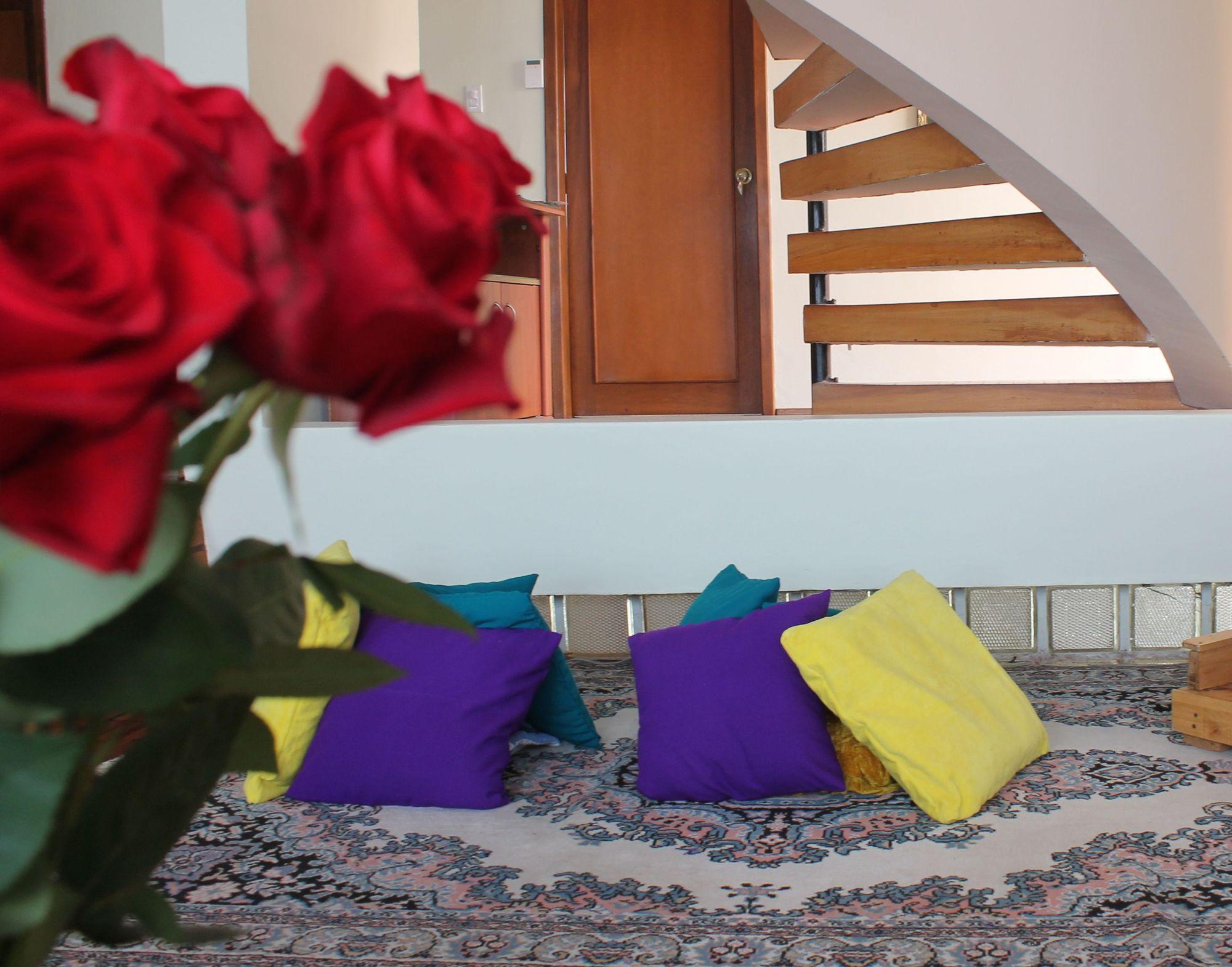 Comodidades del Alojamiento Papucho's Guest House