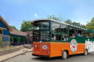 Actividad - Recorrido en tranvia hop on hop off en San Antonio