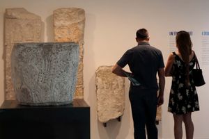 Actividad - Entrada al Museo de la Romanidad de Nimes