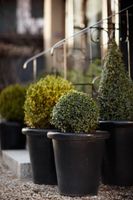 Alojamiento - Churrut