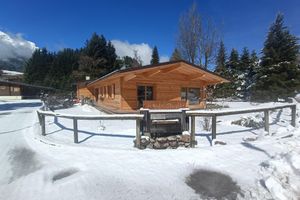 Alquiler Vacacional - Wooden chalet surrounded by greenery