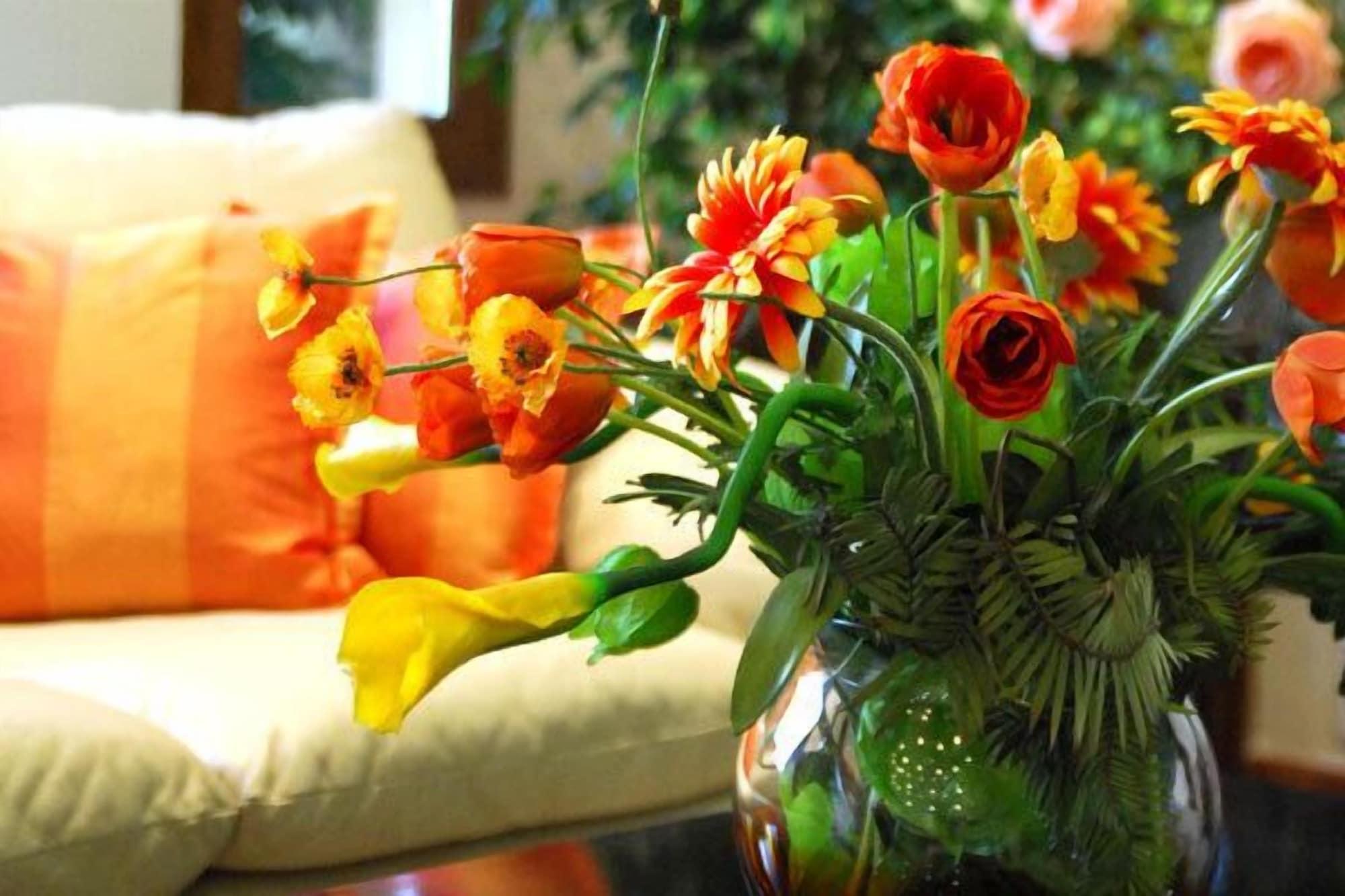 Vista Lobby Veria Hotel