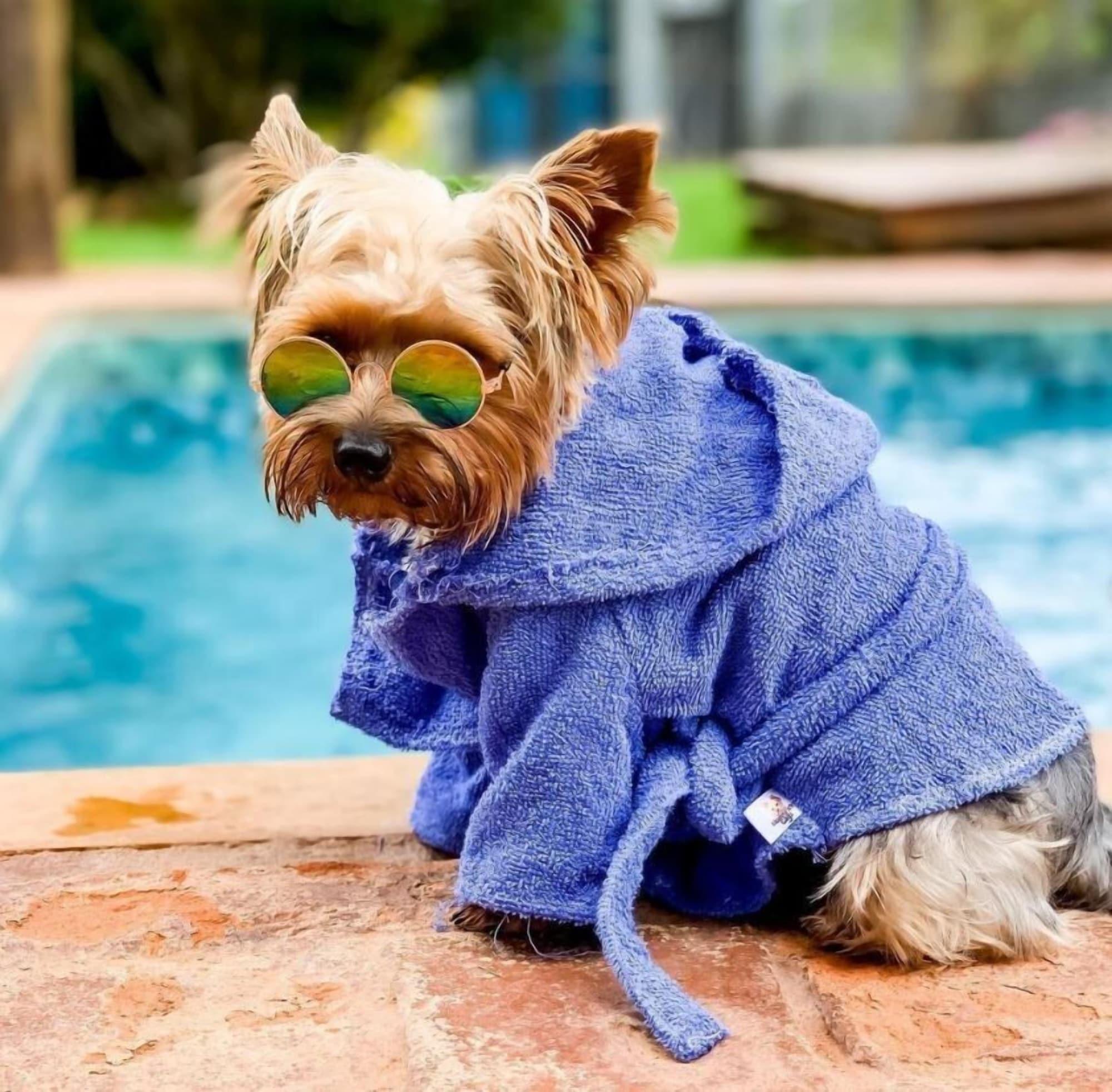 Comodidades del Alojamiento Villa Ayê Pousada Petfriendly