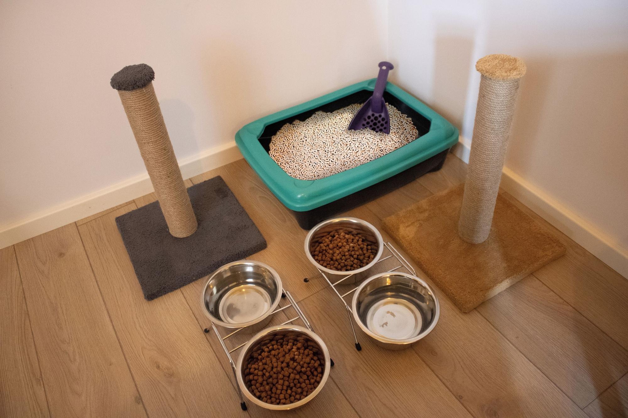 Varios Bird Nest Suite