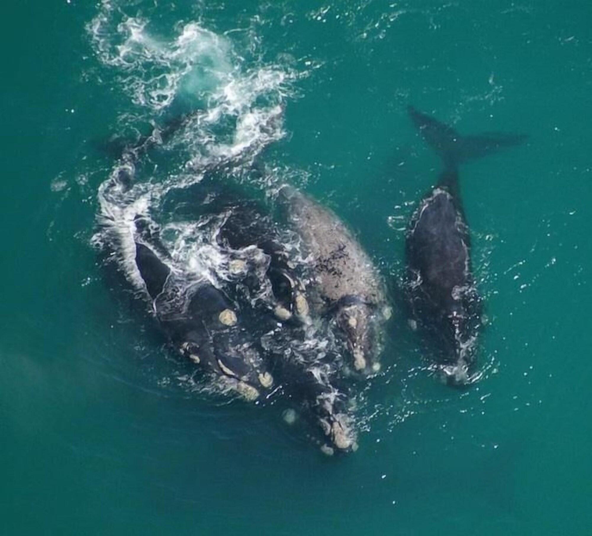 Gimnasio Crayfish Lodge Sea & Country Guest House