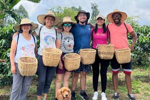 Actividad - Visita a la finca cafetera Don Arnulfo