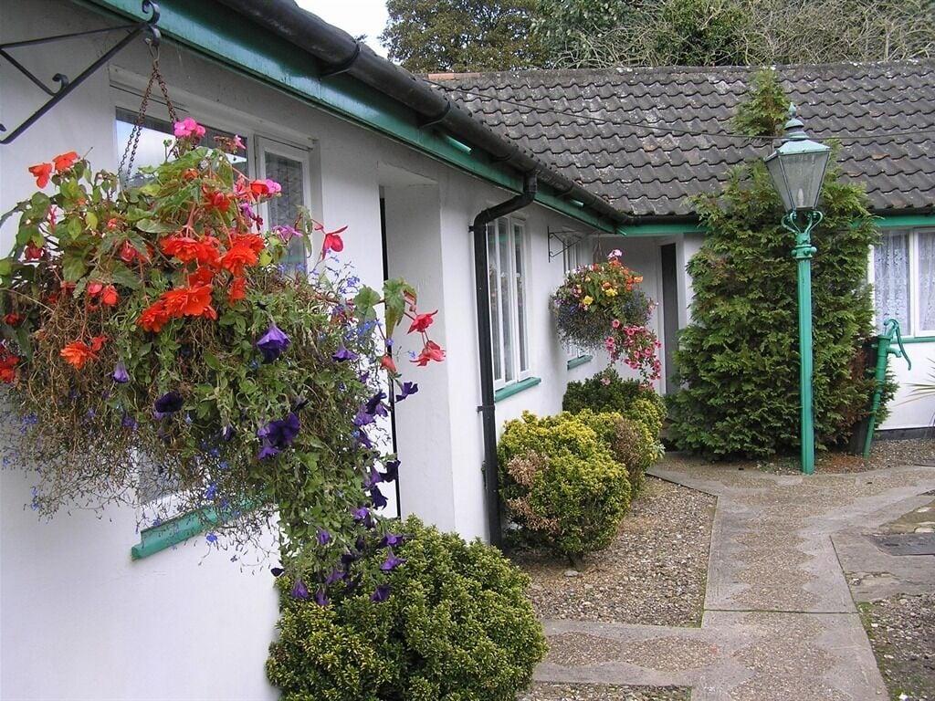 Vista Exterior The Willow House