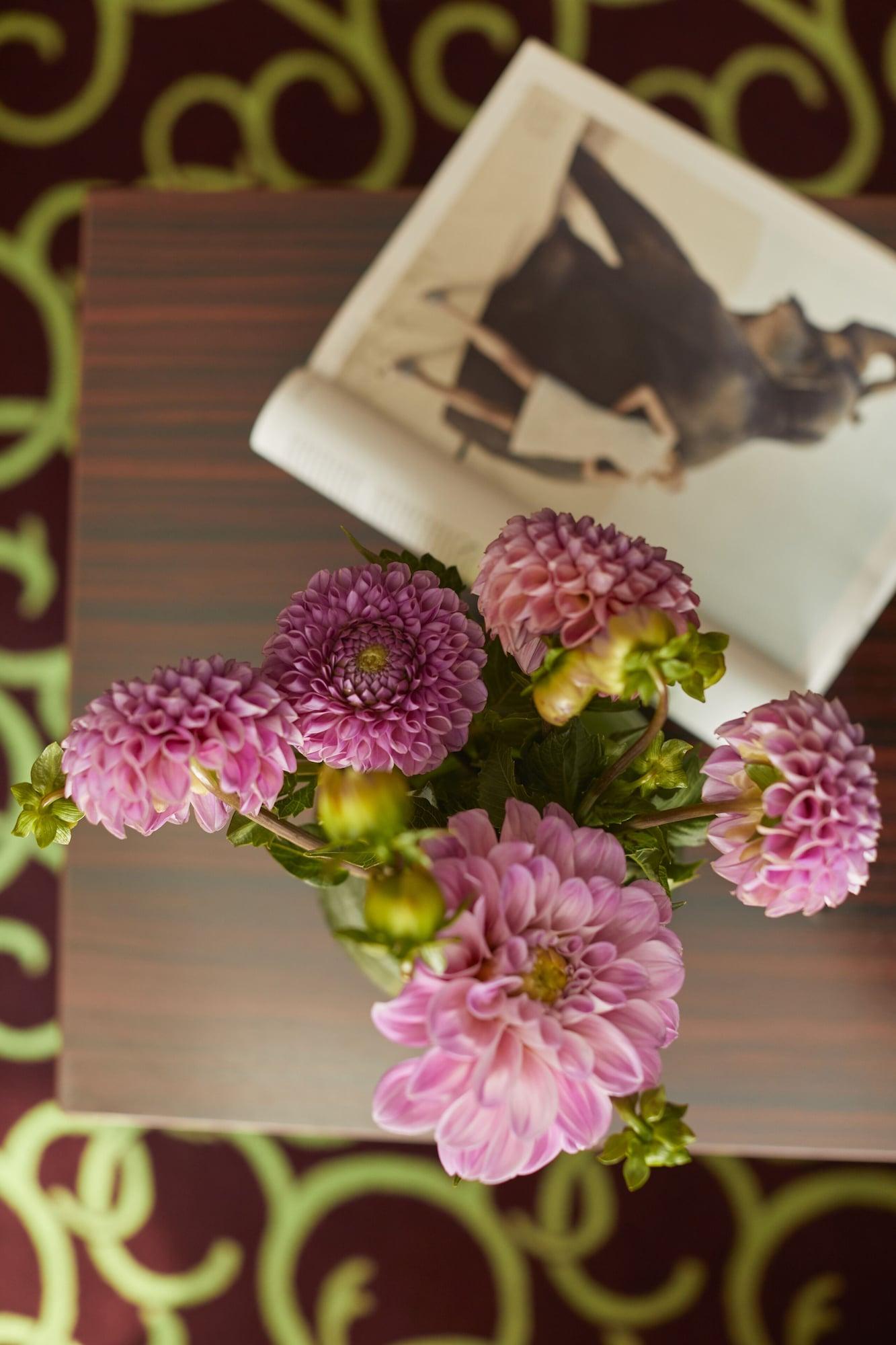 Set de Habitación Hotel Metropol by Maier Privathotels