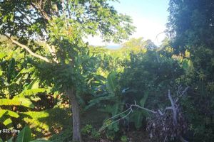 Alojamiento - Marantha Close