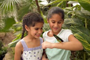 Actividad - Niagara Falls Wonder Pass – Incluye WEGO de 2 días