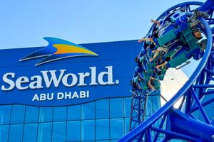 Actividad - Tour Privado por Abu Dhabi con entrada a SeaWorld