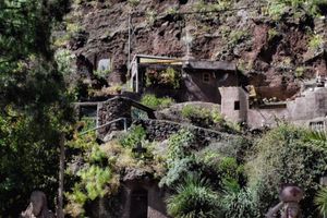 Actividad - Guayadeque, Dunas y Puerto de Mogán