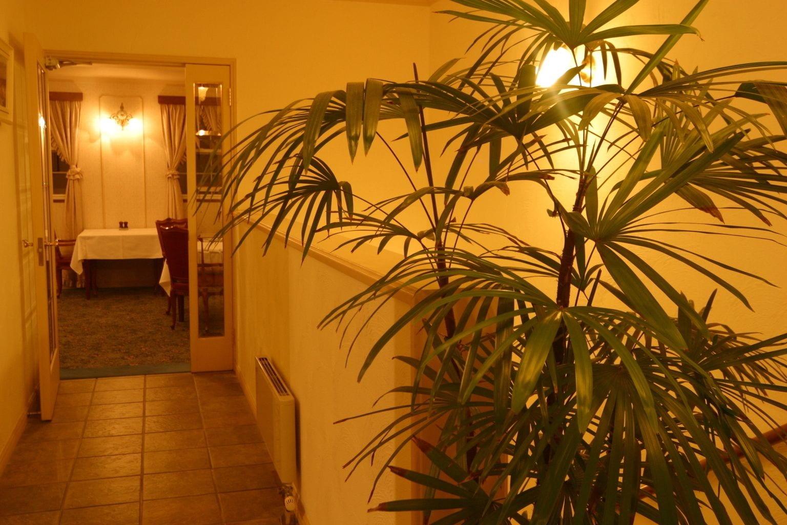 Varios Pension Raisin