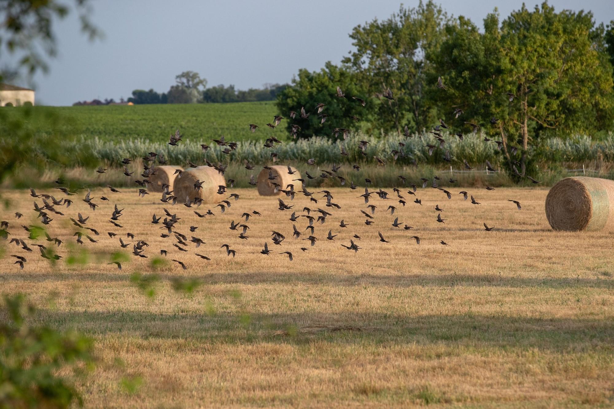Vista Exterior La Maison d'Estournel