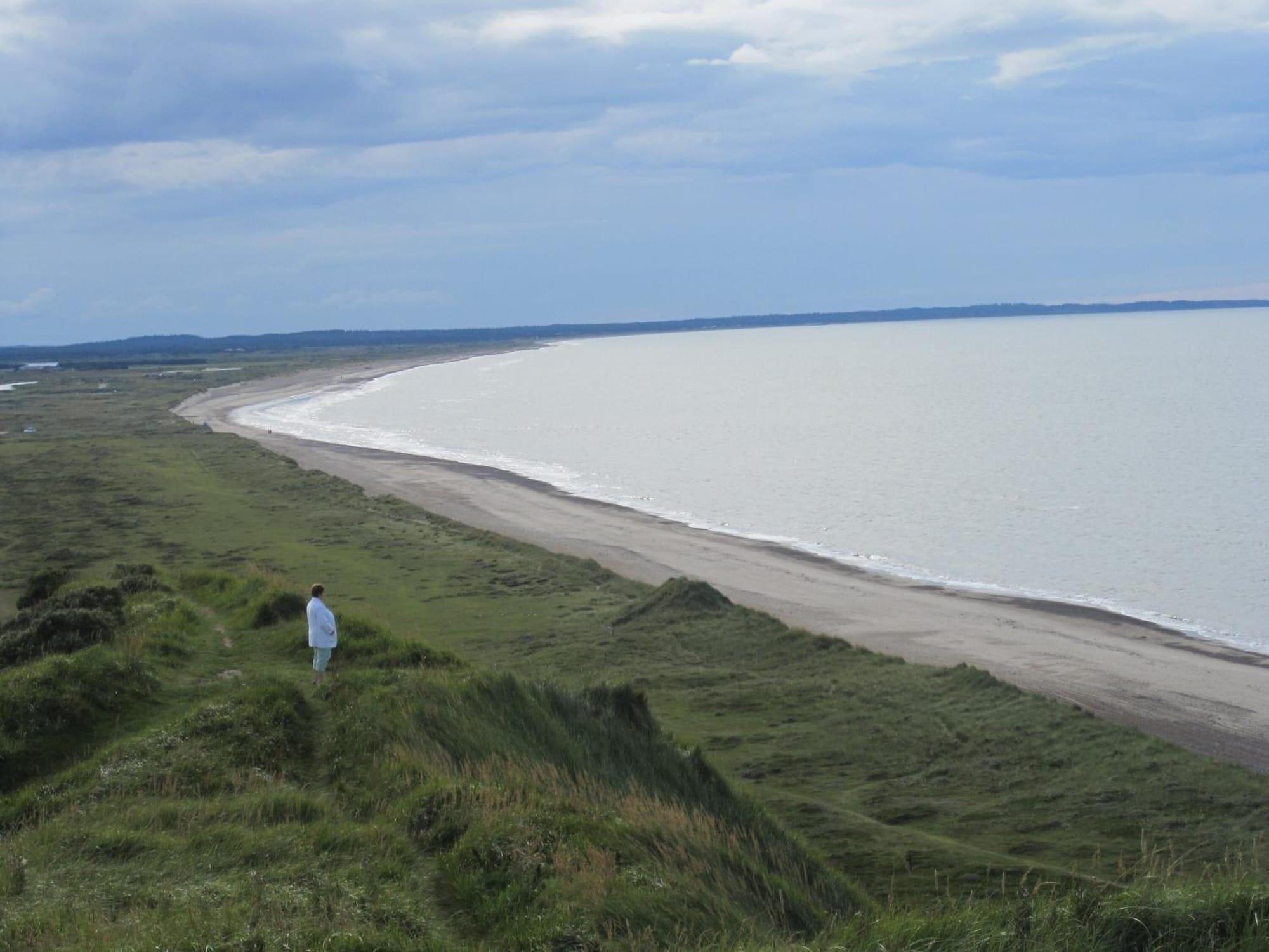 Playa Hotel Højgaarden