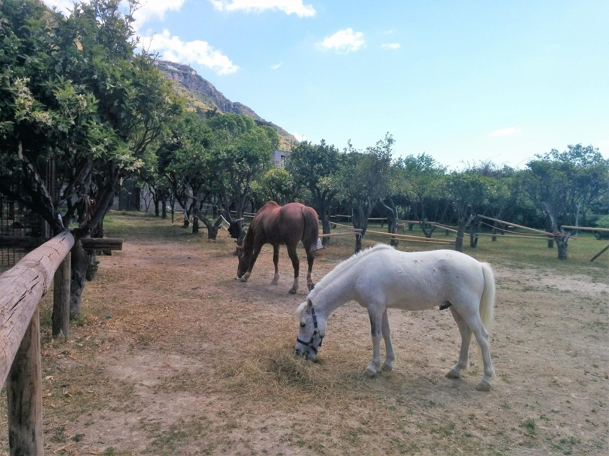 Instalaciones Recreativas Villa Tara