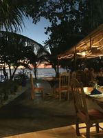 Alojamiento - Whistling Bird Resort Negril