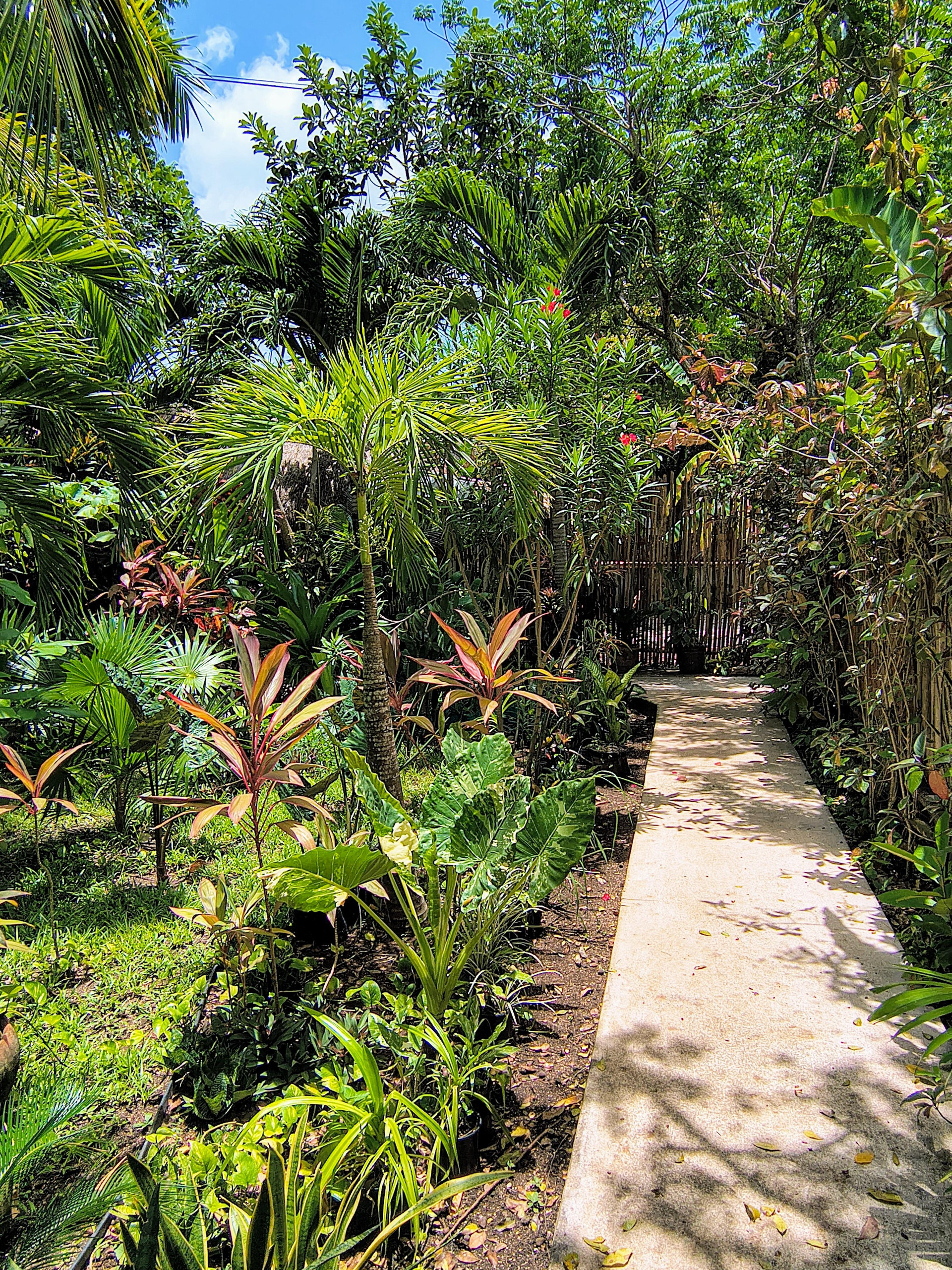 Vista Lobby Hotel & Suites Oasis Bacalar
