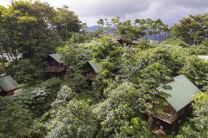 Alojamiento - La Tigra Rainforest Lodge