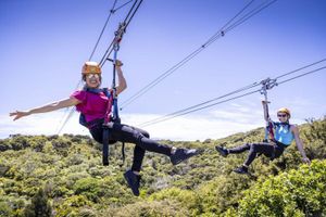 Actividad - Isla Waiheke: tirolesa y cena con vino premium 