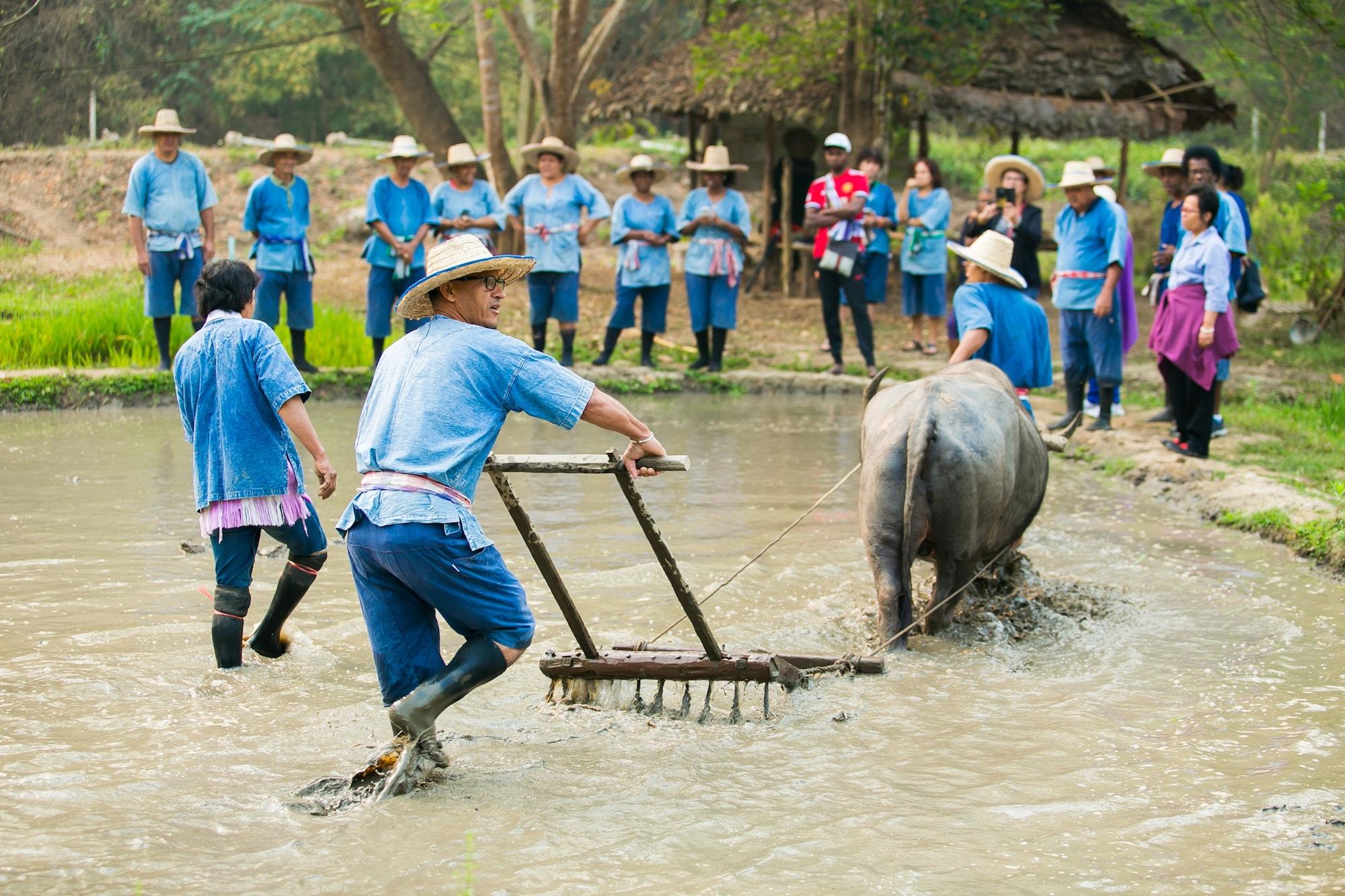 Gimnasio Karen Eco Lodge