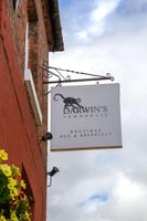 Alojamiento - Darwin's Townhouse