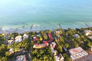 Alojamiento - Holbox Dream Beachfront Hotel